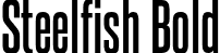 Steelfish Bold font - steelfish bd.otf