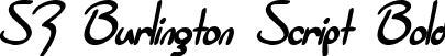 SF Burlington Script Bold font - SFBurlingtonScript-Bold.ttf