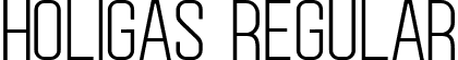 Holigas Regular font - Holigas-x3rgr.ttf