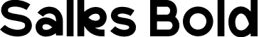 Salks Bold font - Salks.otf