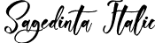 Sagedinta Italic font - Sagedinta-Italic.otf