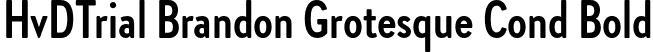 HvDTrial Brandon Grotesque Cond Bold font - HvDTrial_BrandonGrotesqueCond-Bold.otf