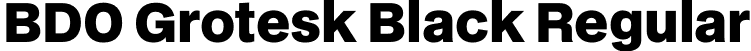 BDO Grotesk Black Regular font - BDOGrotesk-Black.otf