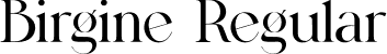 Birgine Regular font - birgine.otf