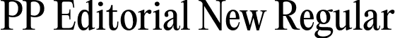 PP Editorial New Regular font - PPEditorialNew-Regular.otf