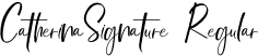 CatherinaSignature Regular font - catherinasignature.otf