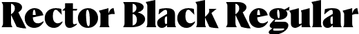 Rector Black Regular font - rector-black-TRIAL.otf