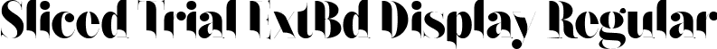 Sliced Trial ExtBd Display Regular font - SlicedTrial-ExtraBoldDisplay.ttf