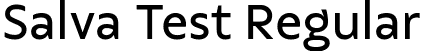 Salva Test Regular font - SalvaTest-Regular.ttf