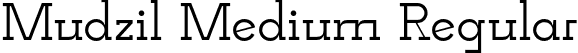 Mudzil Medium Regular font - Mudzil-Medium.otf