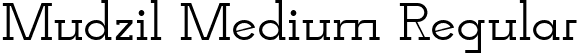 Mudzil Medium Regular font - Mudzil-Medium.ttf