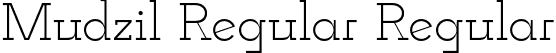 Mudzil Regular Regular font - Mudzil-Regular.otf