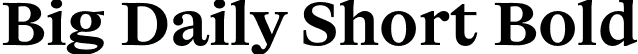 Big Daily Short Bold font - bigdailyshort-bold-TRIAL.otf