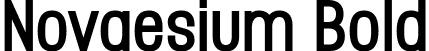 Novaesium Bold font - Novaesium-Bold.otf