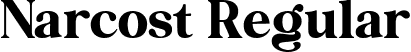 Narcost Regular font - narcost-regular.ttf