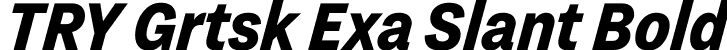 TRY Grtsk Exa Slant Bold font - TRYGrtsk-BoldExaSlant.ttf