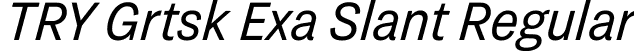 TRY Grtsk Exa Slant Regular font - TRYGrtsk-ExaSlant.ttf