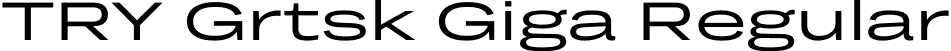 TRY Grtsk Giga Regular font - TRYGrtsk-Giga.ttf