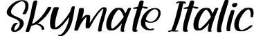 Skymate Italic font - Skymate-Italic.otf