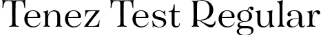 Tenez Test Regular font - TenezTest-Regular.otf