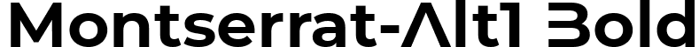 Montserrat-Alt1 Bold font - MontserratAlt1-Bold.ttf