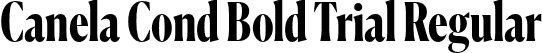 Canela Cond Bold Trial Regular font - CanelaCondensed-Bold-Trial.otf