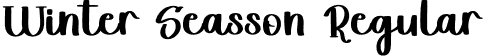 Winter Seasson Regular font - Winter Seasson.otf