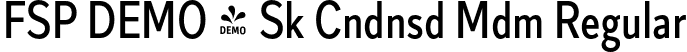 FSP DEMO - Sk Cndnsd Mdm Regular font - Fontspring-DEMO-skiecondensed-medium.otf