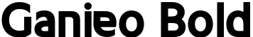 Ganieo Bold font - Ganieo Bold.otf