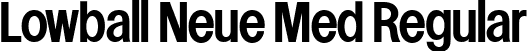 Lowball Neue Med Regular font - LowballNeueMedium-8MmAn.ttf