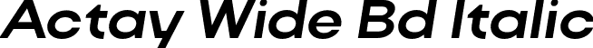 Actay Wide Bd Italic font - ActayWide-BoldItalic.otf