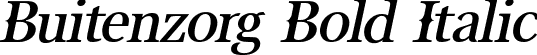 Buitenzorg Bold Italic font - Buitenzorg Bold Italic.otf