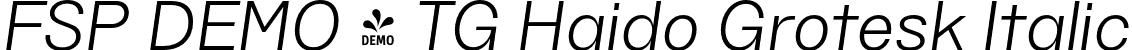 FSP DEMO - TG Haido Grotesk Italic font - Fontspring-DEMO-tghaidogrotesk-italic.otf