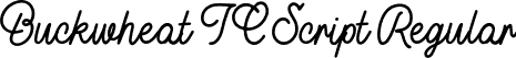 Buckwheat TC Script Regular font - Buckwheat TC Script Rg.otf