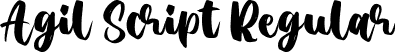 Agil Script Regular font - AgilScript-nRaP1.ttf