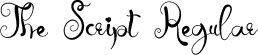 The Script Regular font - The Script.otf