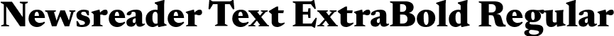 Newsreader Text ExtraBold Regular font - NewsreaderText-ExtraBold.ttf