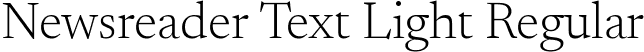 Newsreader Text Light Regular font - NewsreaderText-Light.ttf