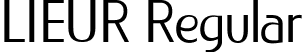 LIEUR Regular font - LIEUR-Regular-PERSONAL USE ONLY.ttf