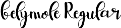 belymole Regular font - belymole.otf