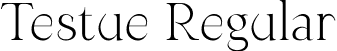 Testue Regular font - testue.otf