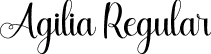 Agilia Regular font - Agilia.otf