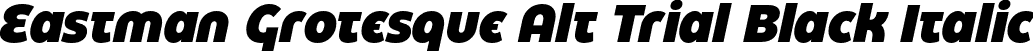 Eastman Grotesque Alt Trial Black Italic font - Eastman-Grotesque-Alt-Black-Italic-trial.otf