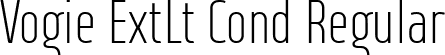 Vogie ExtLt Cond Regular font - 38-lineart - Vogie Extra Light Condensed.ttf