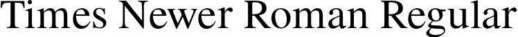 Times Newer Roman Regular font - TimesNewerRoman-Regular.otf