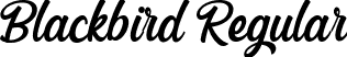 Blackbird Regular font - blackbird-mlyg9.ttf