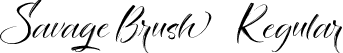 Savage Brush Regular font - savagebrush-nrga0.ttf