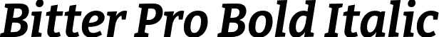 Bitter Pro Bold Italic font - BitterPro-BoldItalic.otf