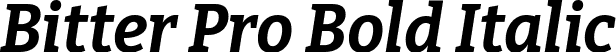 Bitter Pro Bold Italic font - BitterPro-BoldItalic.ttf