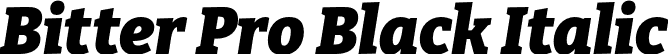 Bitter Pro Black Italic font - BitterPro-BlackItalic.otf